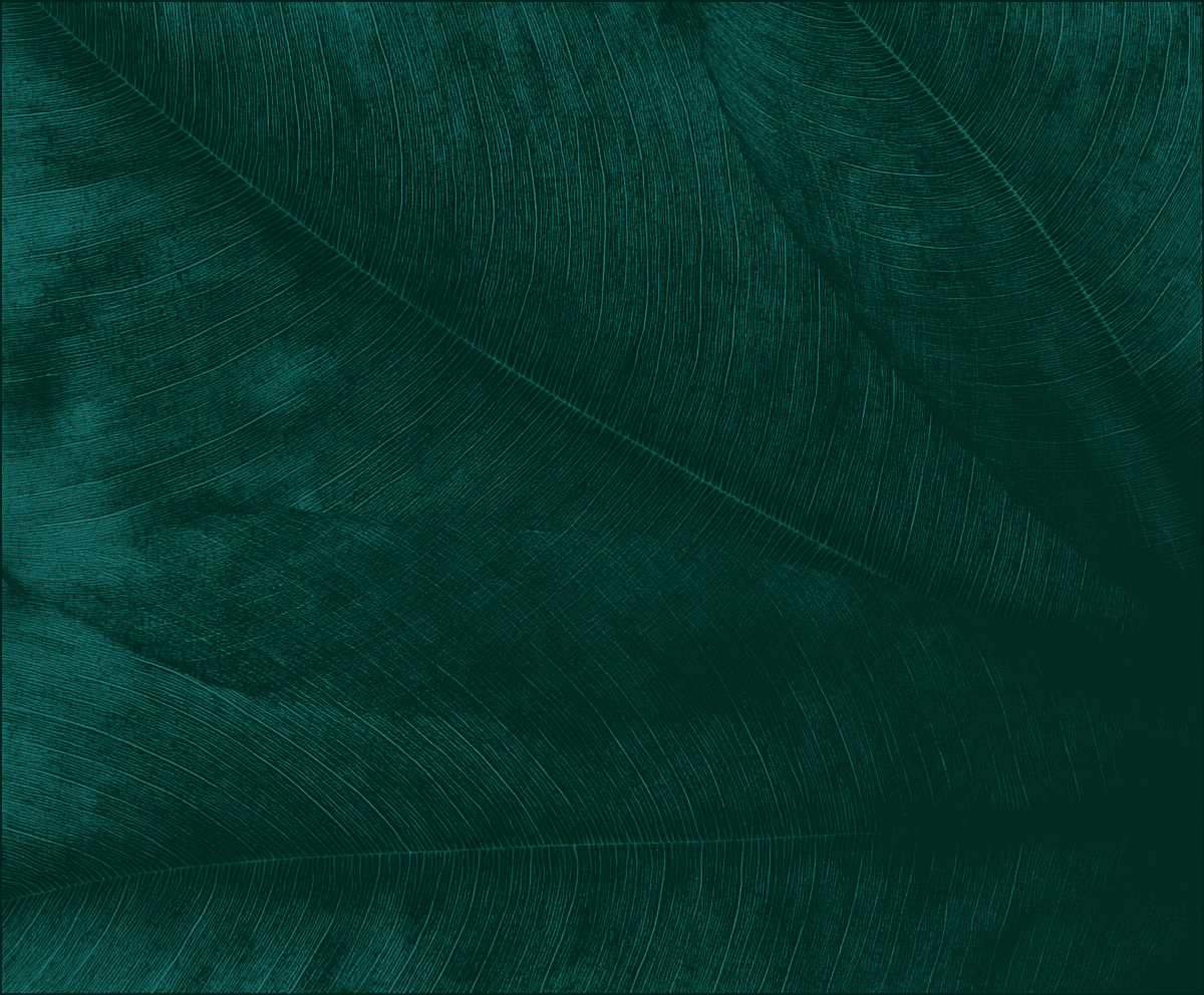 A silhouette of a person standing amidst vibrant swirling colors of teal and orange.