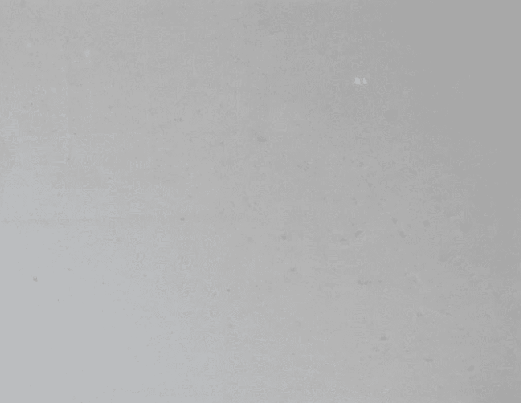 Vietnam White