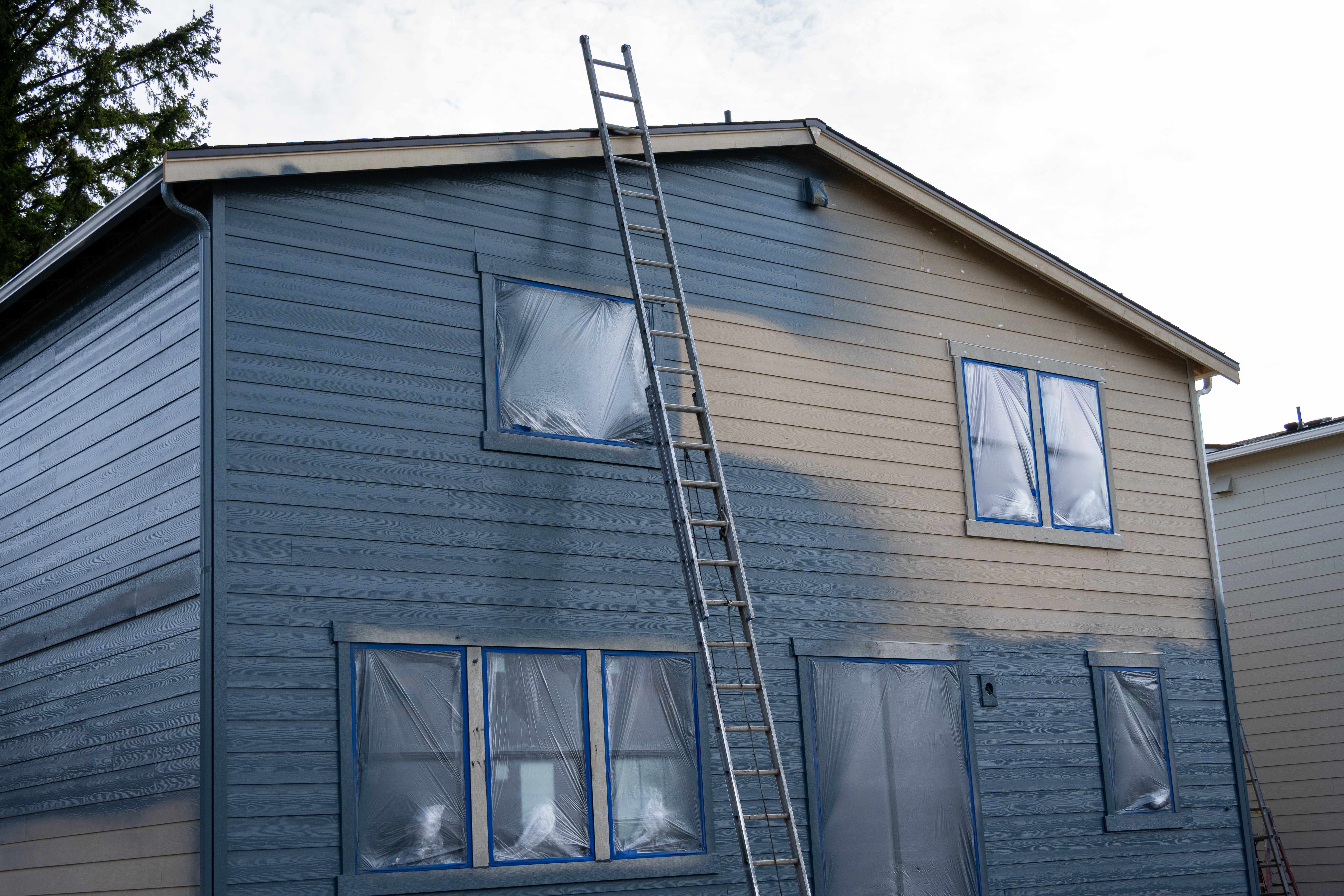 Peinture de revetement