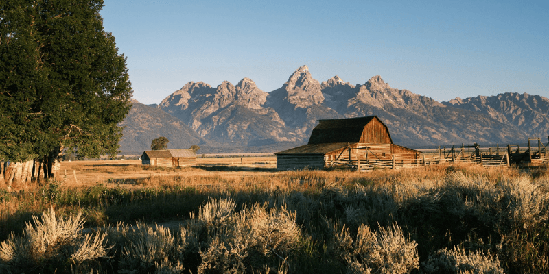 How to Become a Process Server in Wyoming