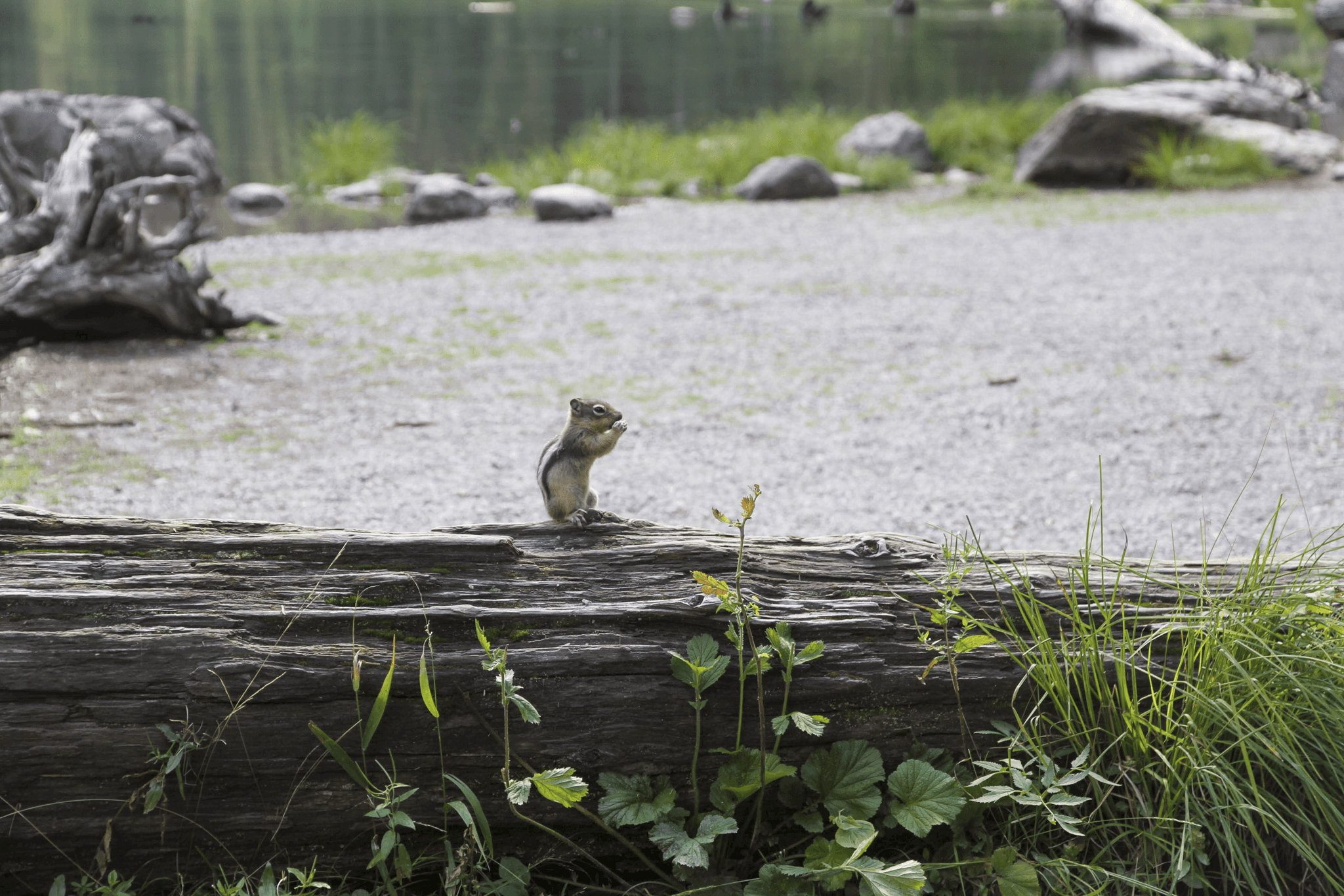low angle view of a building