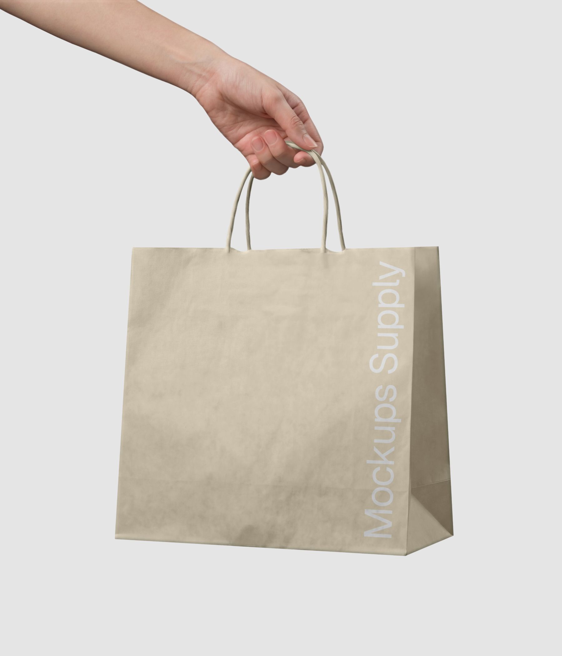Paper bag in hand mockup download