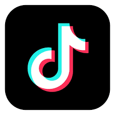 TikTok Icon