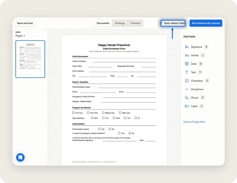 Playground fillable PDF editor with the Auto-detect fields button highlighted