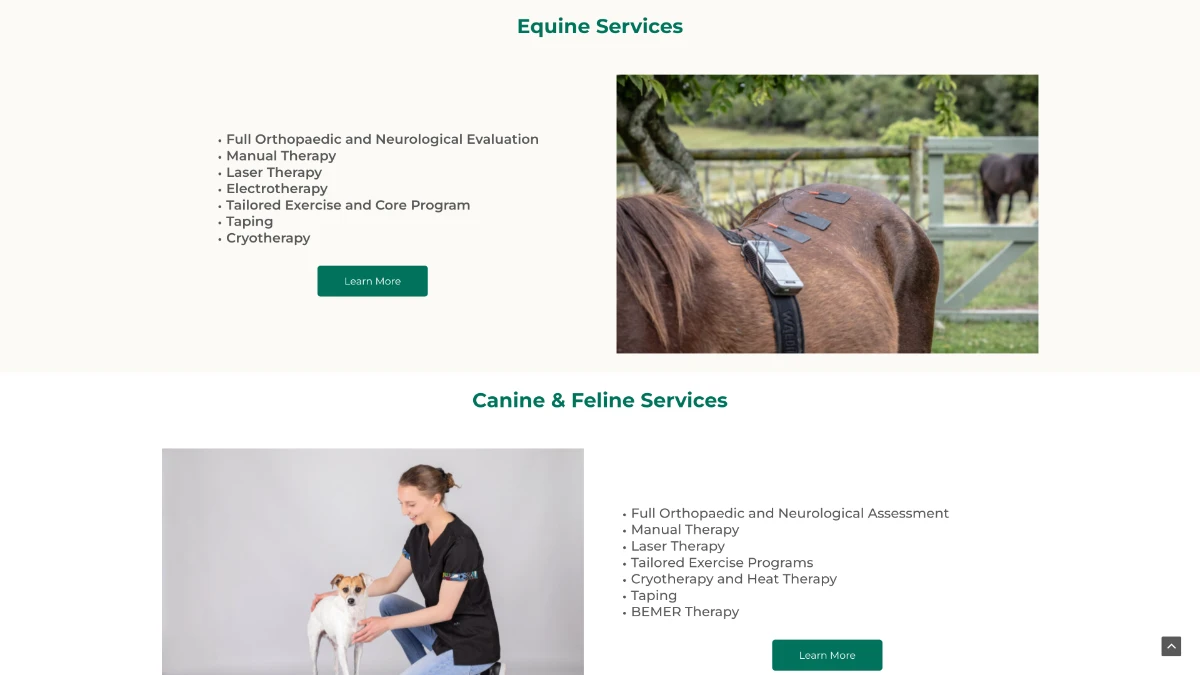 screenshot of flexivet.co.za - services section