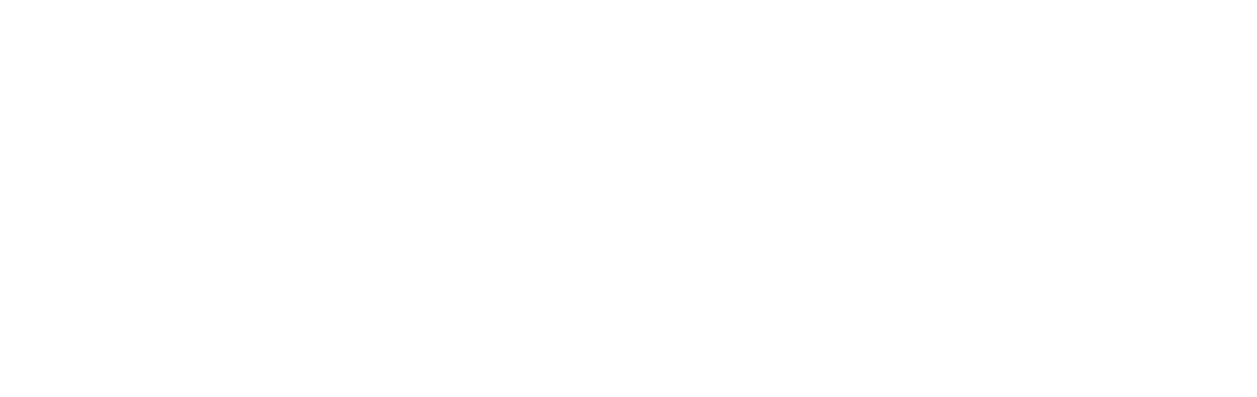 Rogue VC logo
