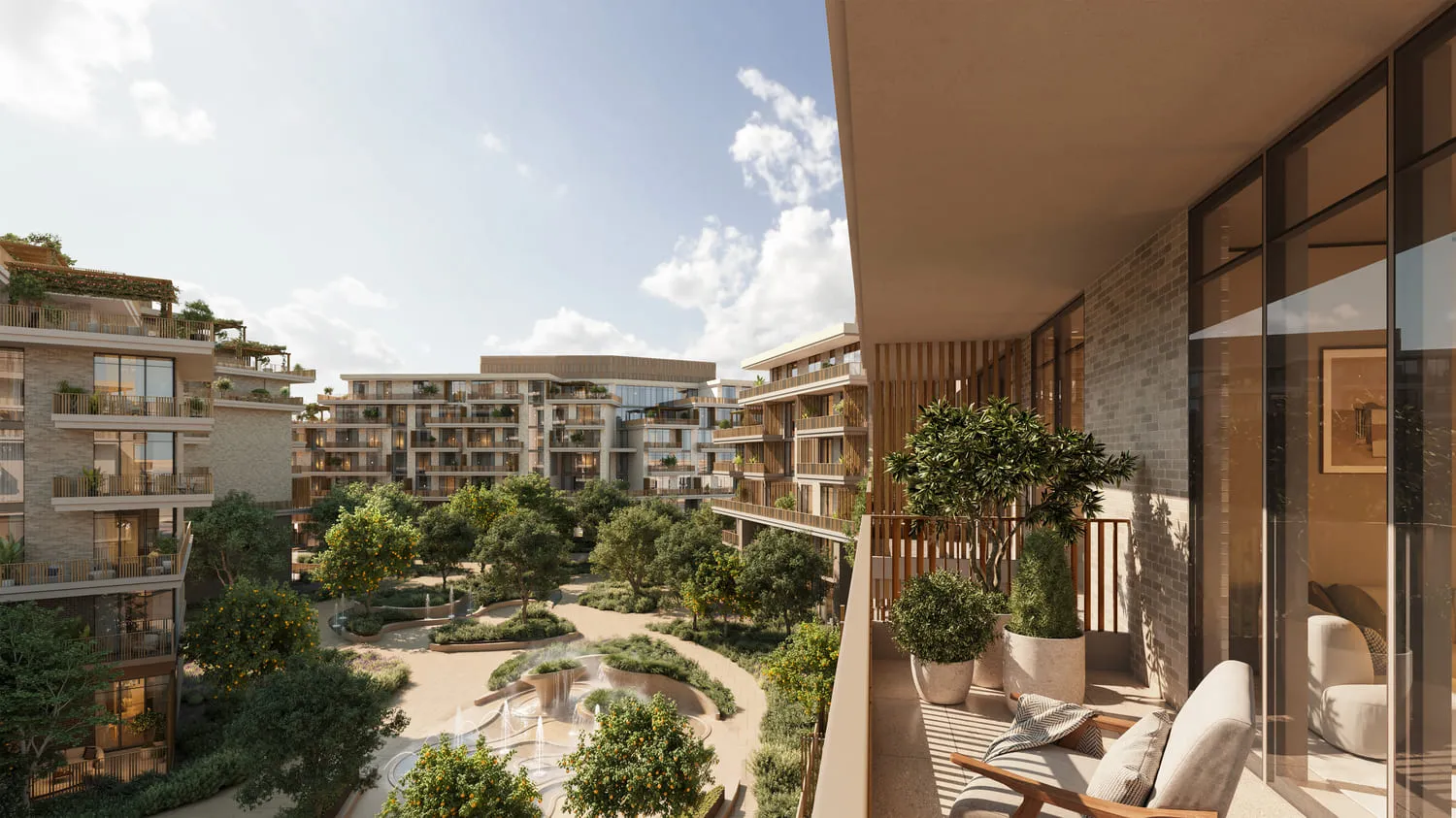 Arancia Yards 2