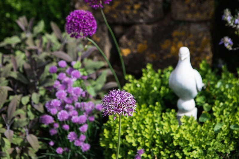 Copyright © Tiffany Lin - www.tiffanylinphotography.com