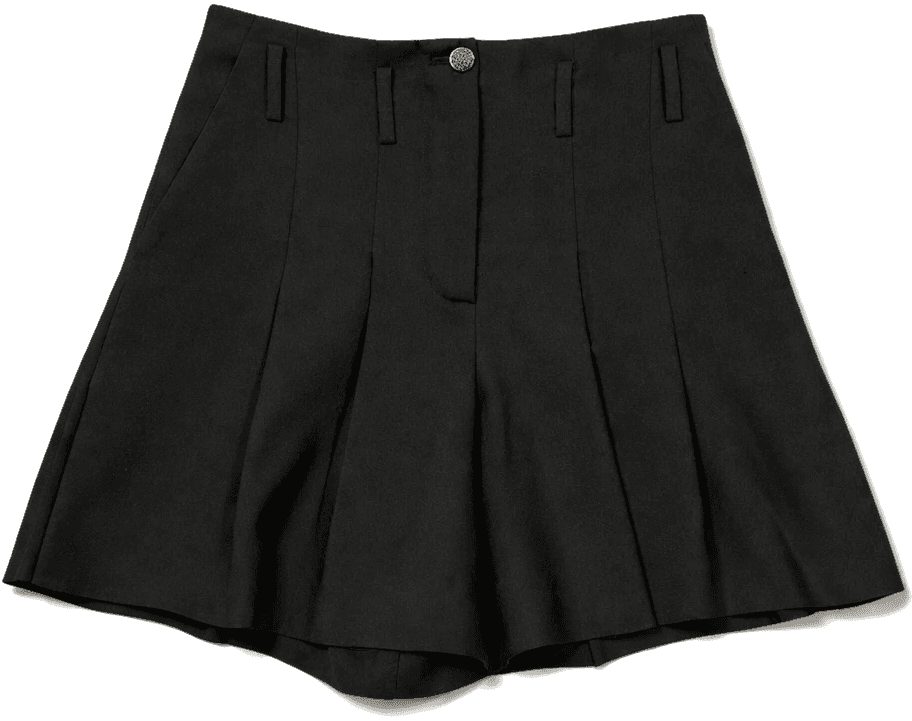 Black Silk Skirt Shorts