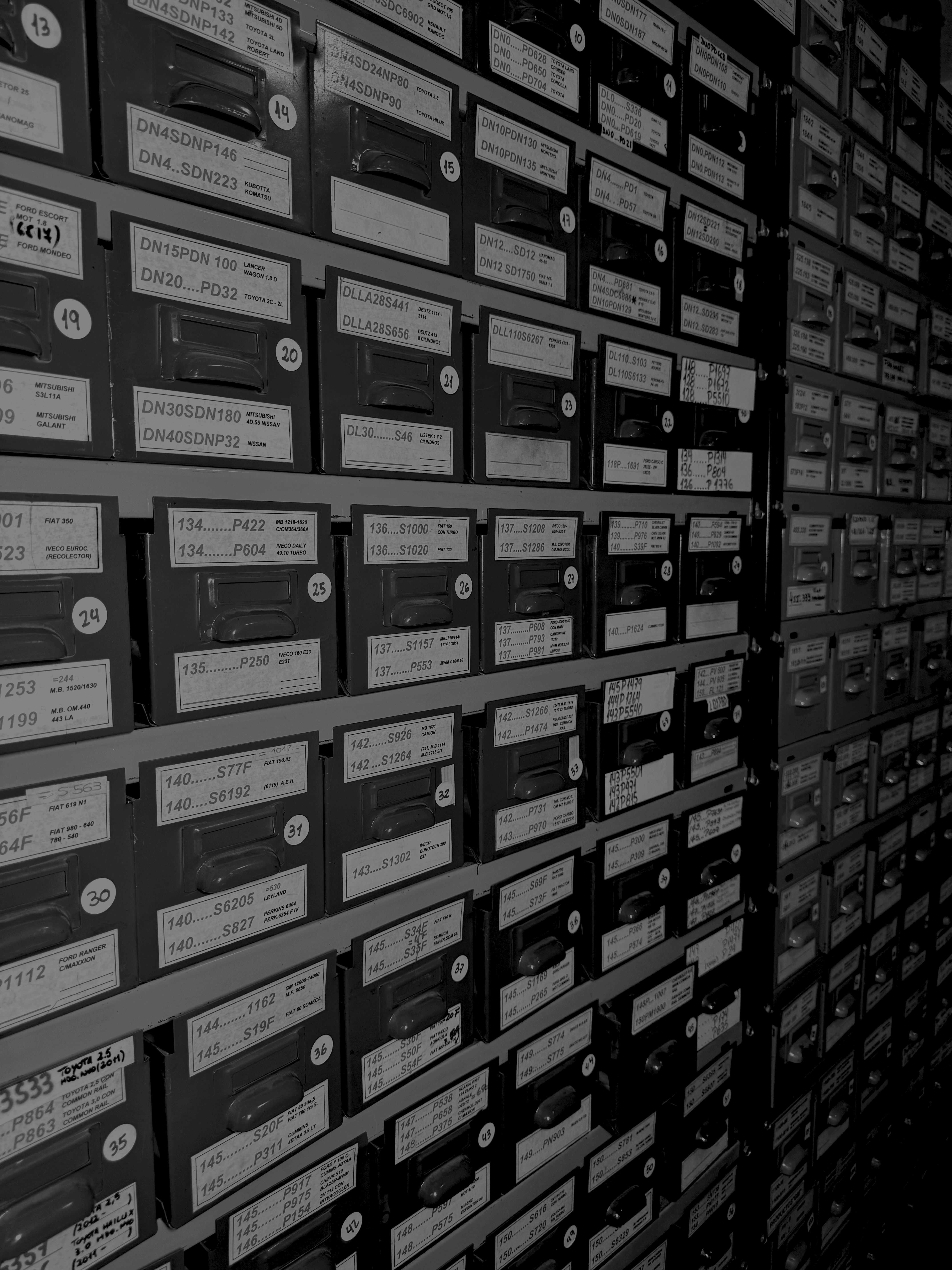 Profile Image of Logo Design Client