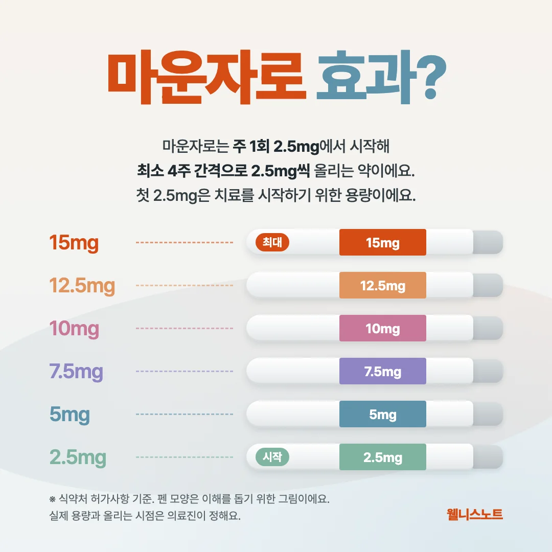 마운자로 효과