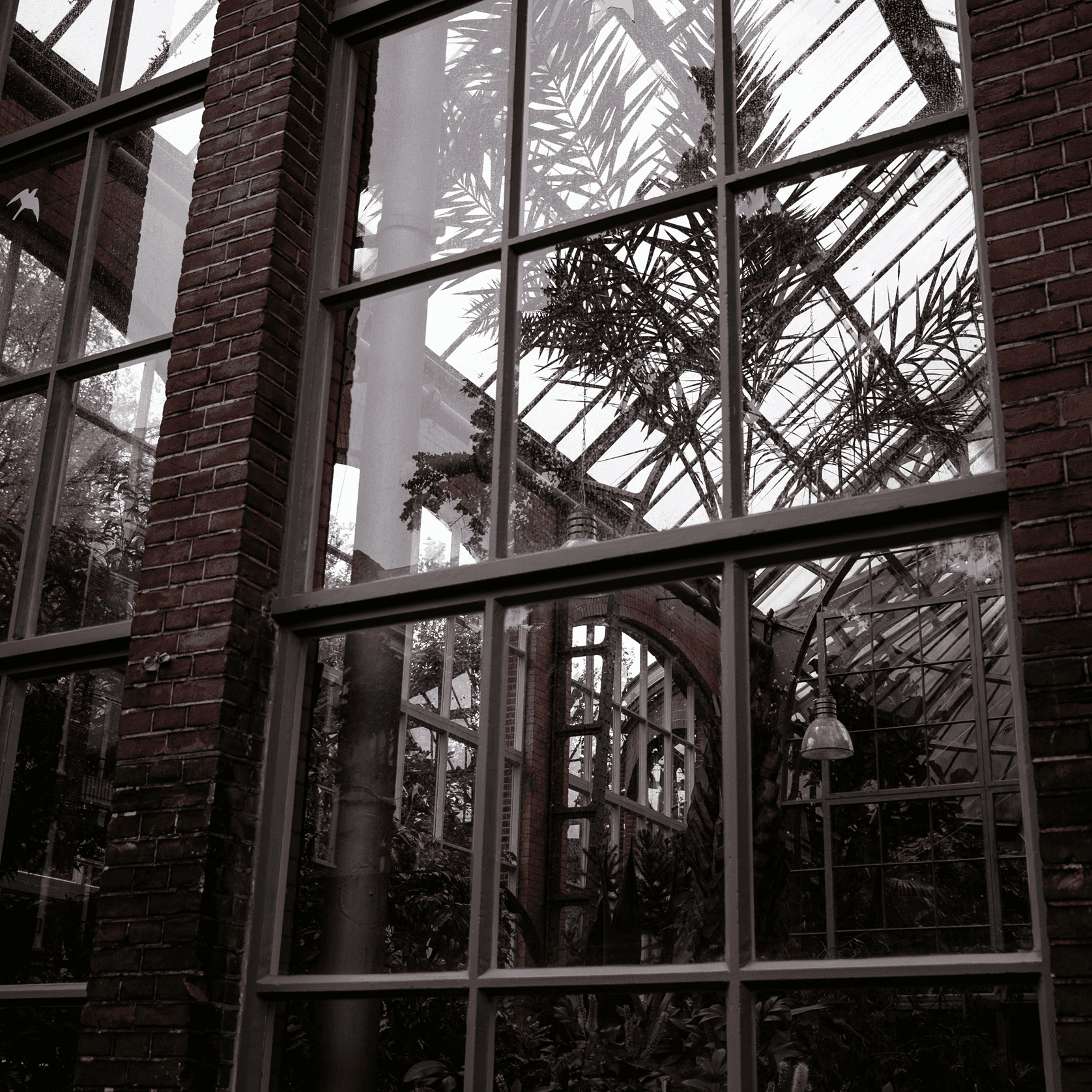 Sfarzo / Haus