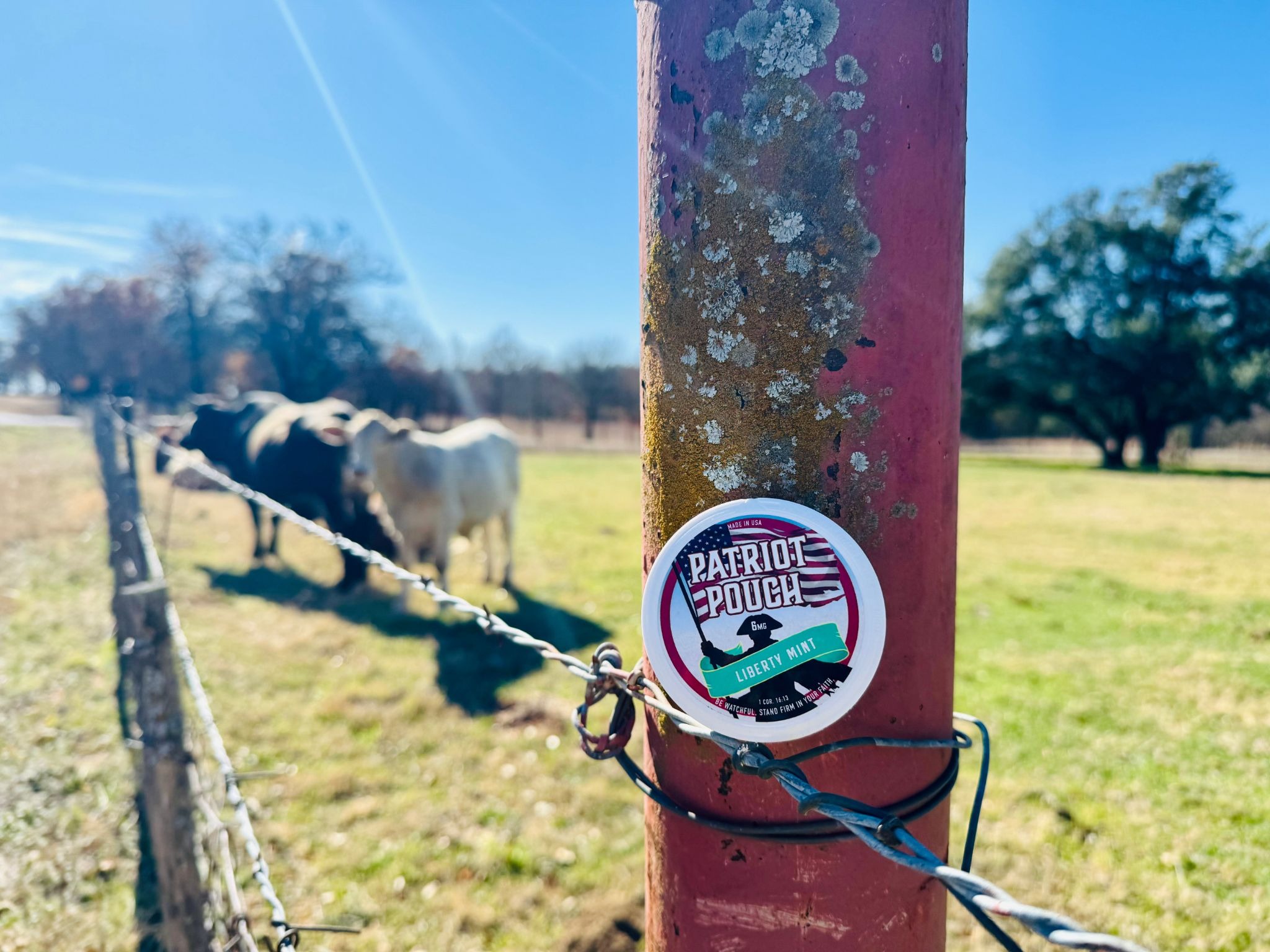 Patriot Pouch Liberty Mint can attached to a fence post with cattle grazing in a sunny pasture.