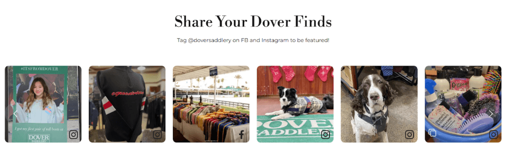 dover saddlery example