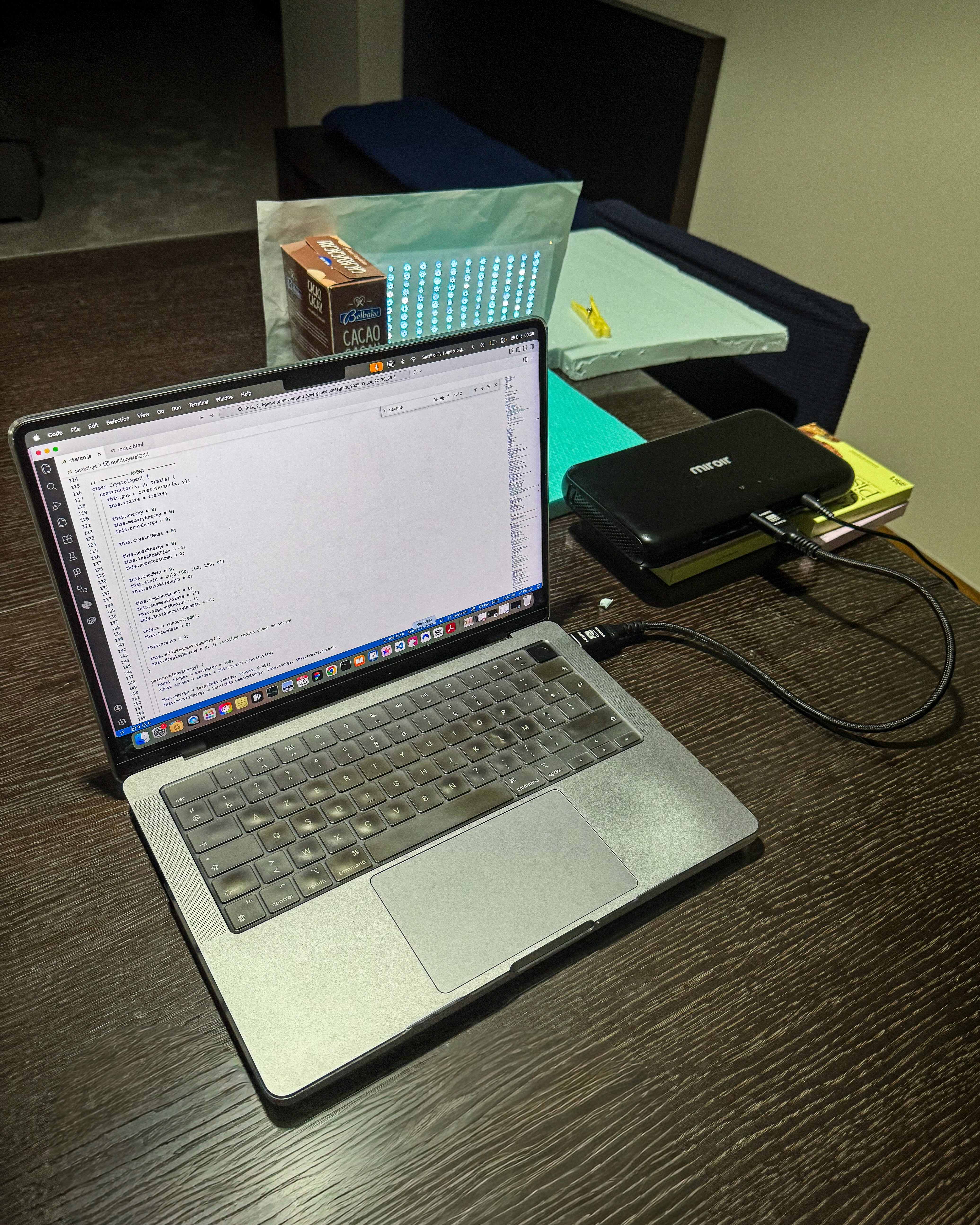 visual of the tropical ecosystem with food, ants and frogs