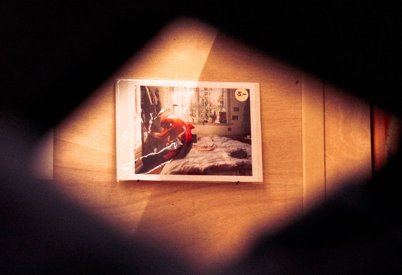 A framed photograph from Nicolaj Ésteban's mixed-reality band project 'Loveboy and His Imaginary Friends' at Herofest 2024 in Bern. The image features 'Beefynn McDoll,' the band's keytar-playing dolphin, in a bedroom setting.