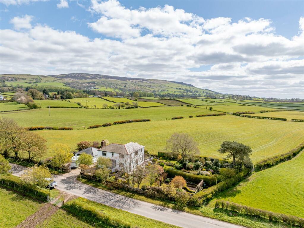 modern open lounge with palm trees outside