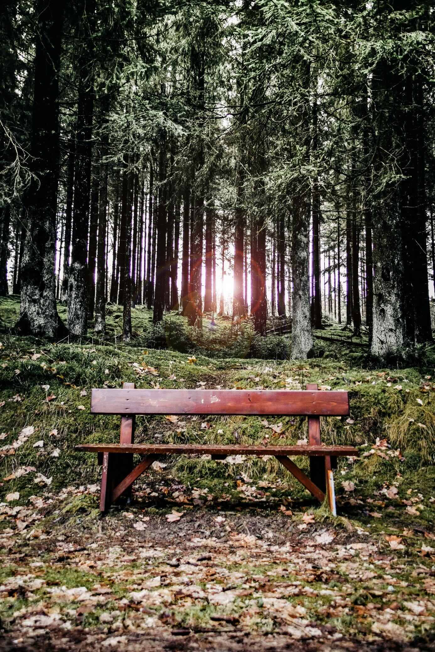 Luxury glass house next to an infinity pool at sunset.