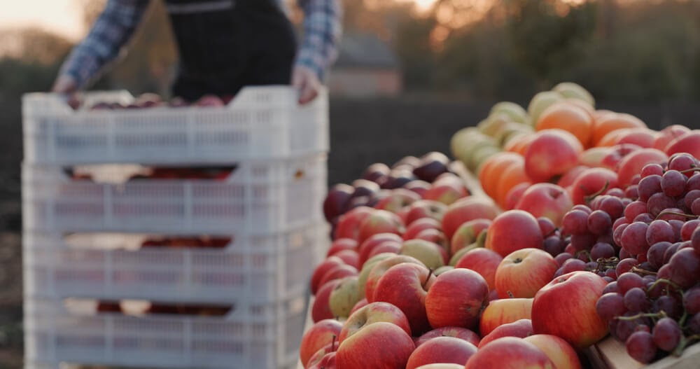 Como montar um hortifrúti e vender frutas e verduras