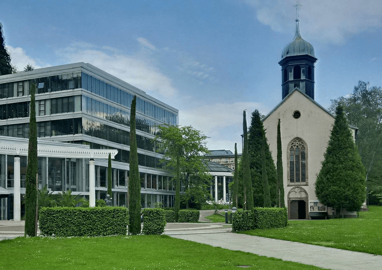 baumpflege baden-baden