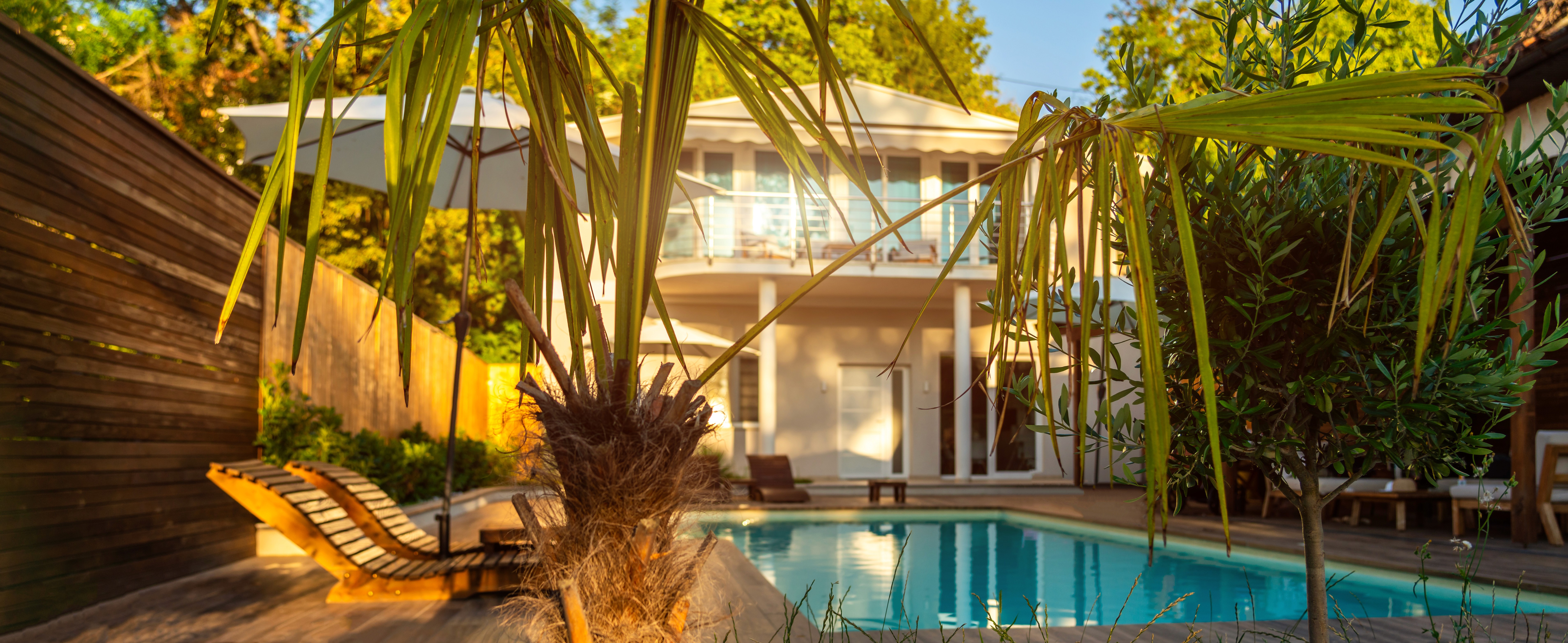 A serene backyard features a clear blue pool surrounded by tropical plants. A modern white house stands in the background under a vibrant, sunny sky.
