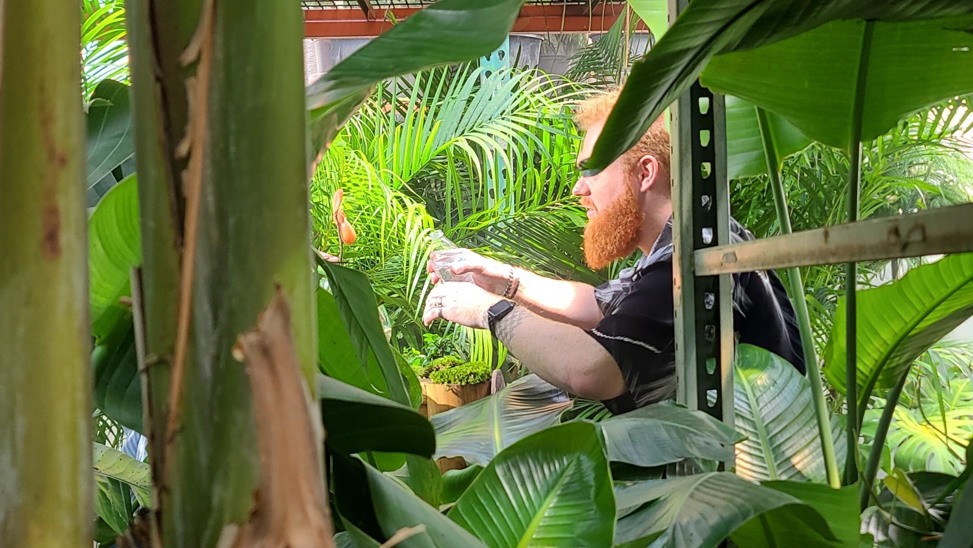Behind the scenes plant sourcing for Bloom