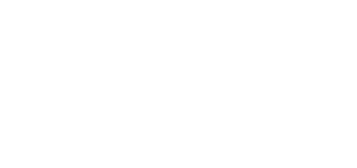 DomoSapiens