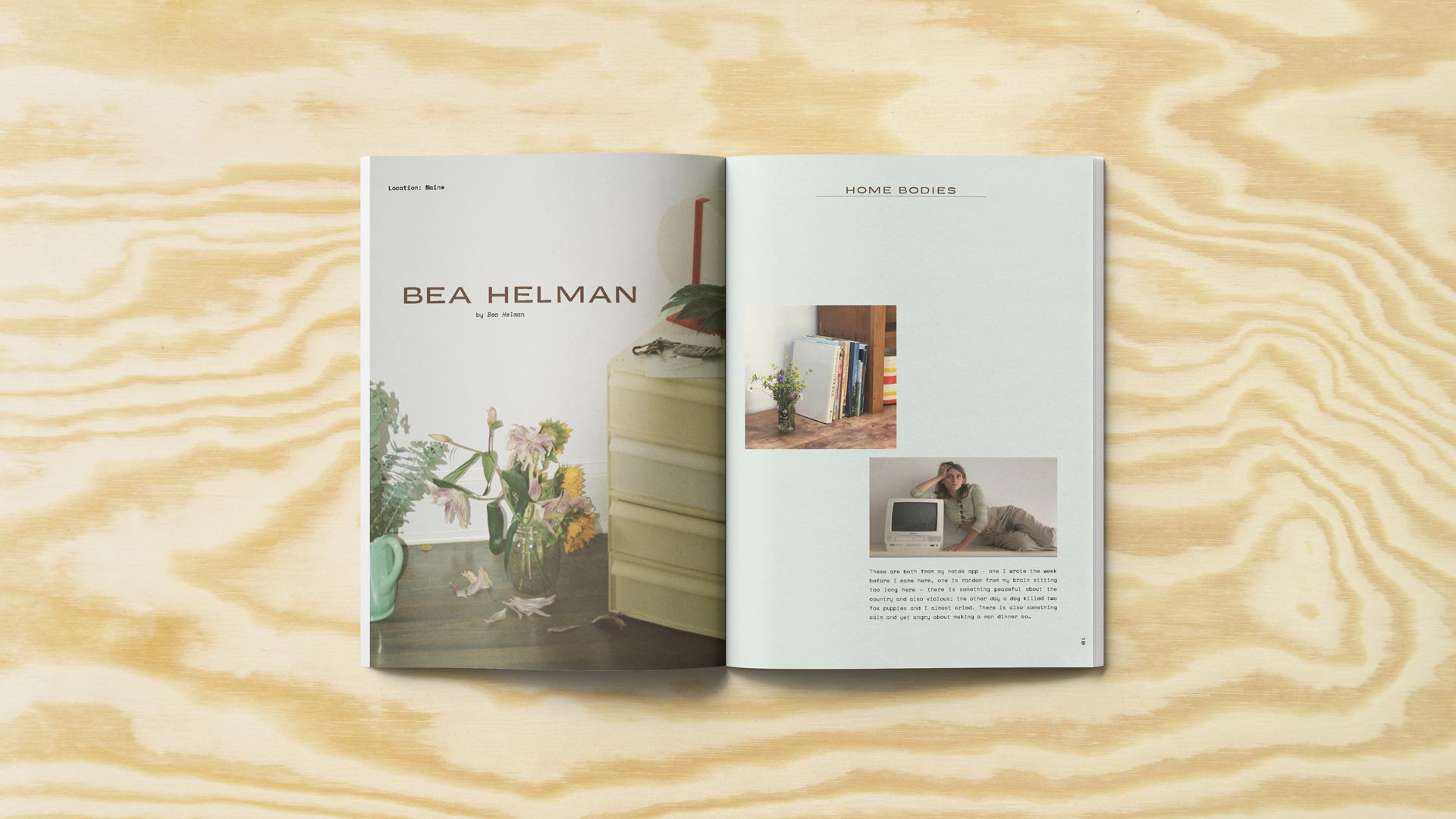 Krista Lewis home magazine spread
