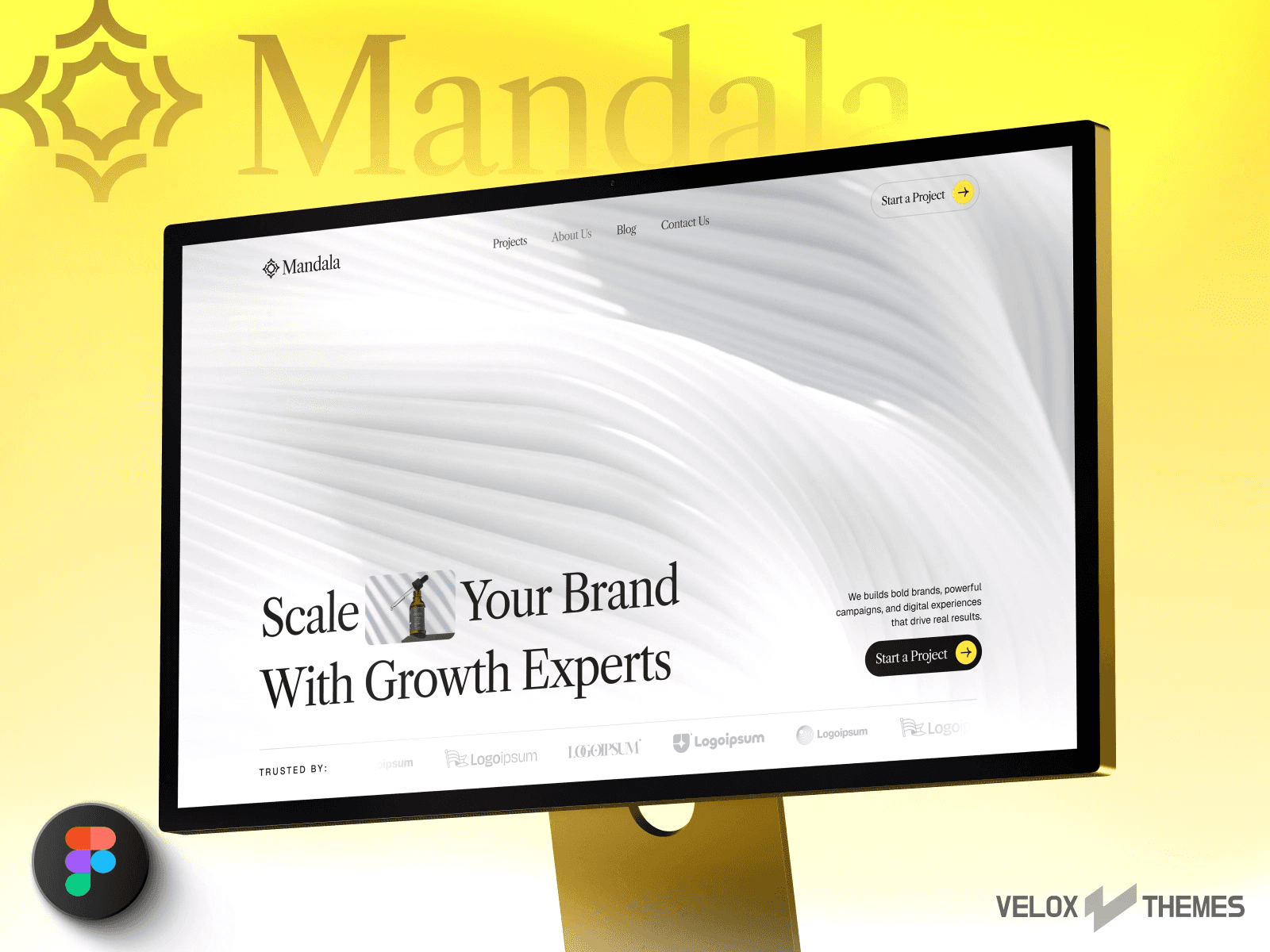 Mandala framer template cover