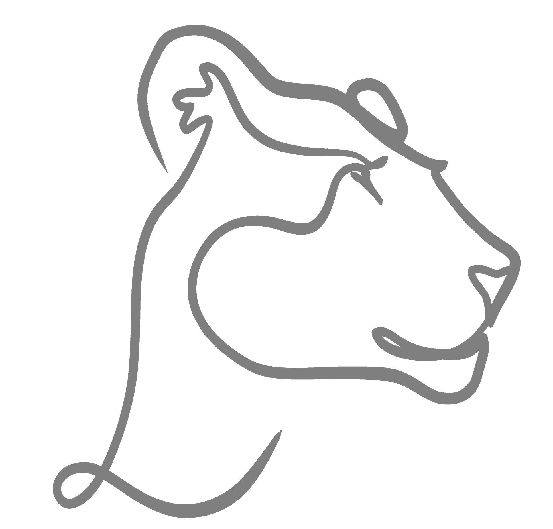 Graphic element of a lions head. Part of the company logotype