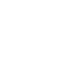 Google Partner Logo – Zertifizierungssiegel für Unternehmen mit nachgewiesener Google Ads-Expertise.