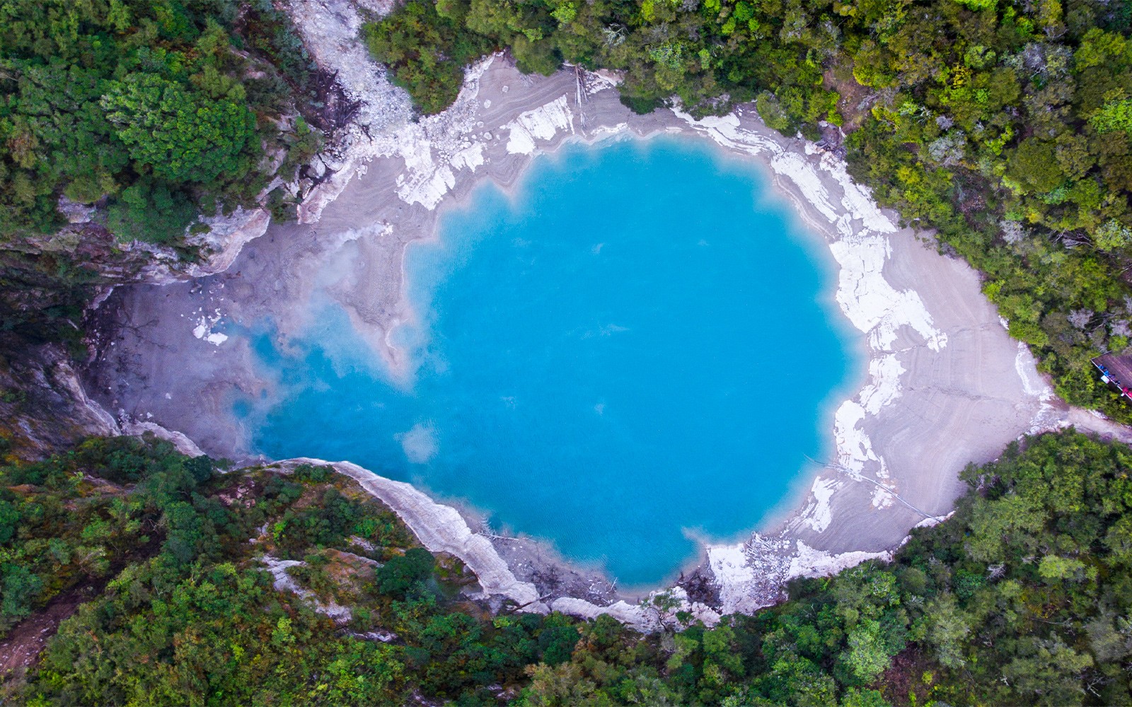 从空中俯瞰新西兰奥拉基考拉科被郁郁葱葱的绿色植被包围的生机勃勃的蓝色地热湖。
