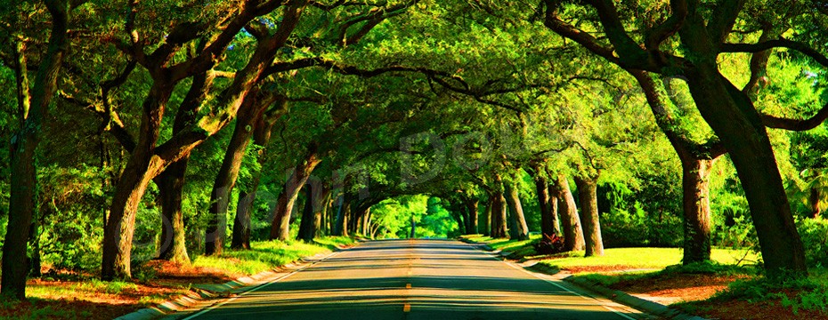 Tallahassee Appraiser FAQ