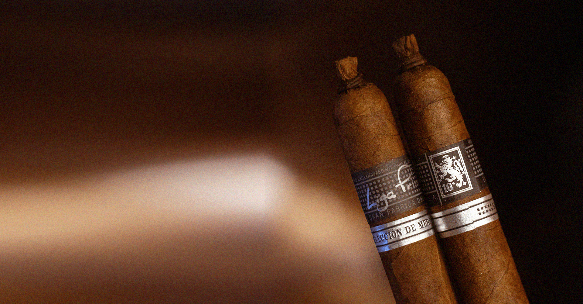 Dynamic picture of a cyclist riding downhill