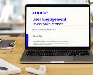 Screenshot of file and document management in the Colibo intranet