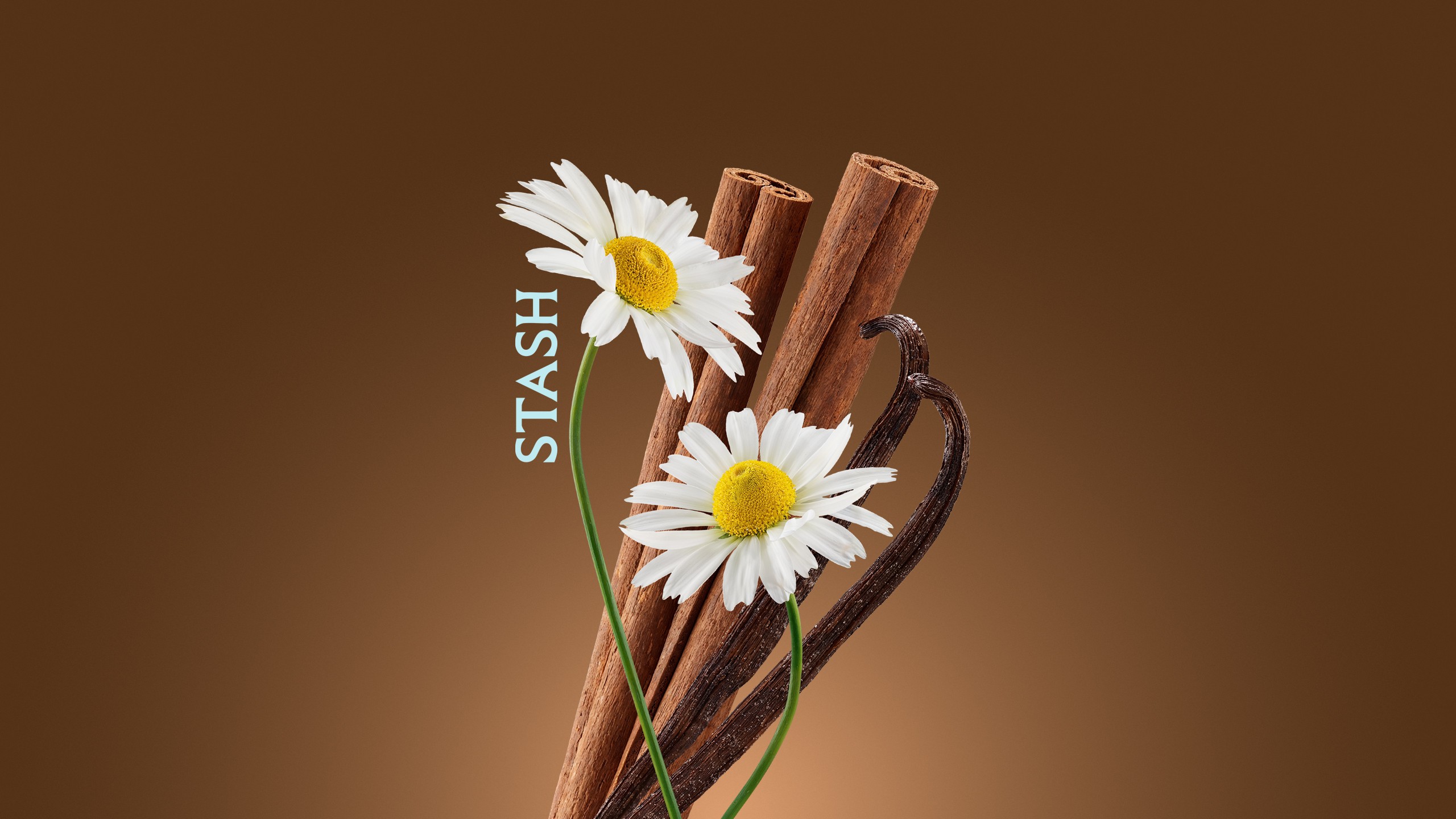 Artistic portrait with red and blue lighting creating a dramatic effect