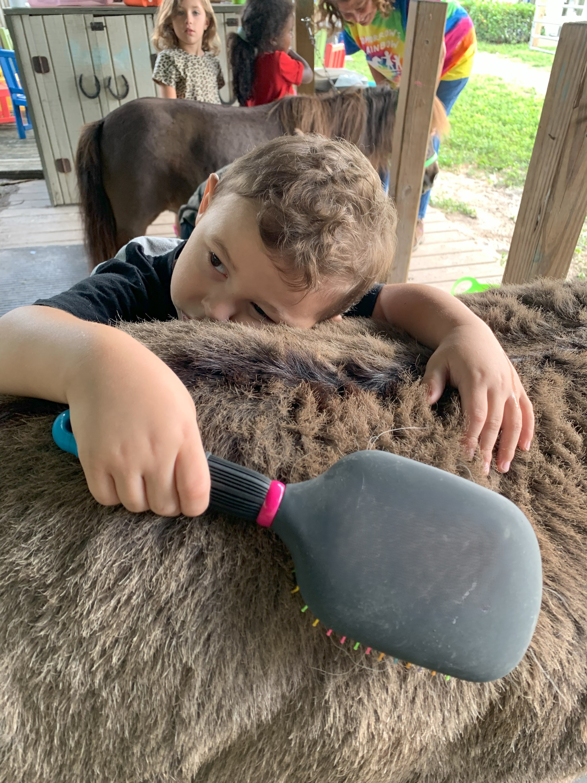 Boy loving on a mini horse