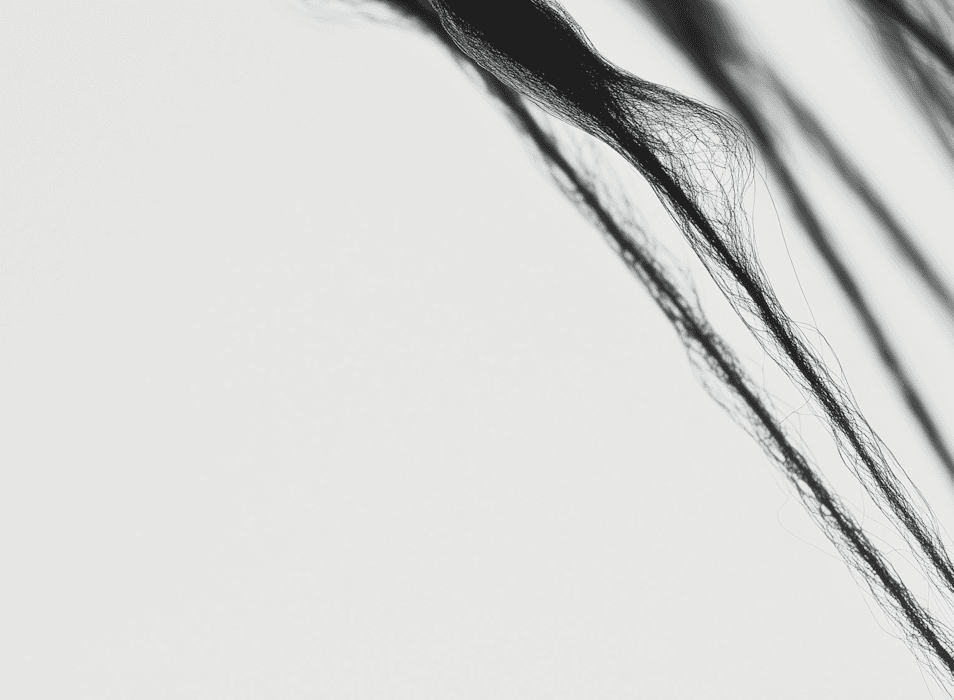 Abstract black and white macro photography showcasing delicate, fibrous organic textures extending across a white background