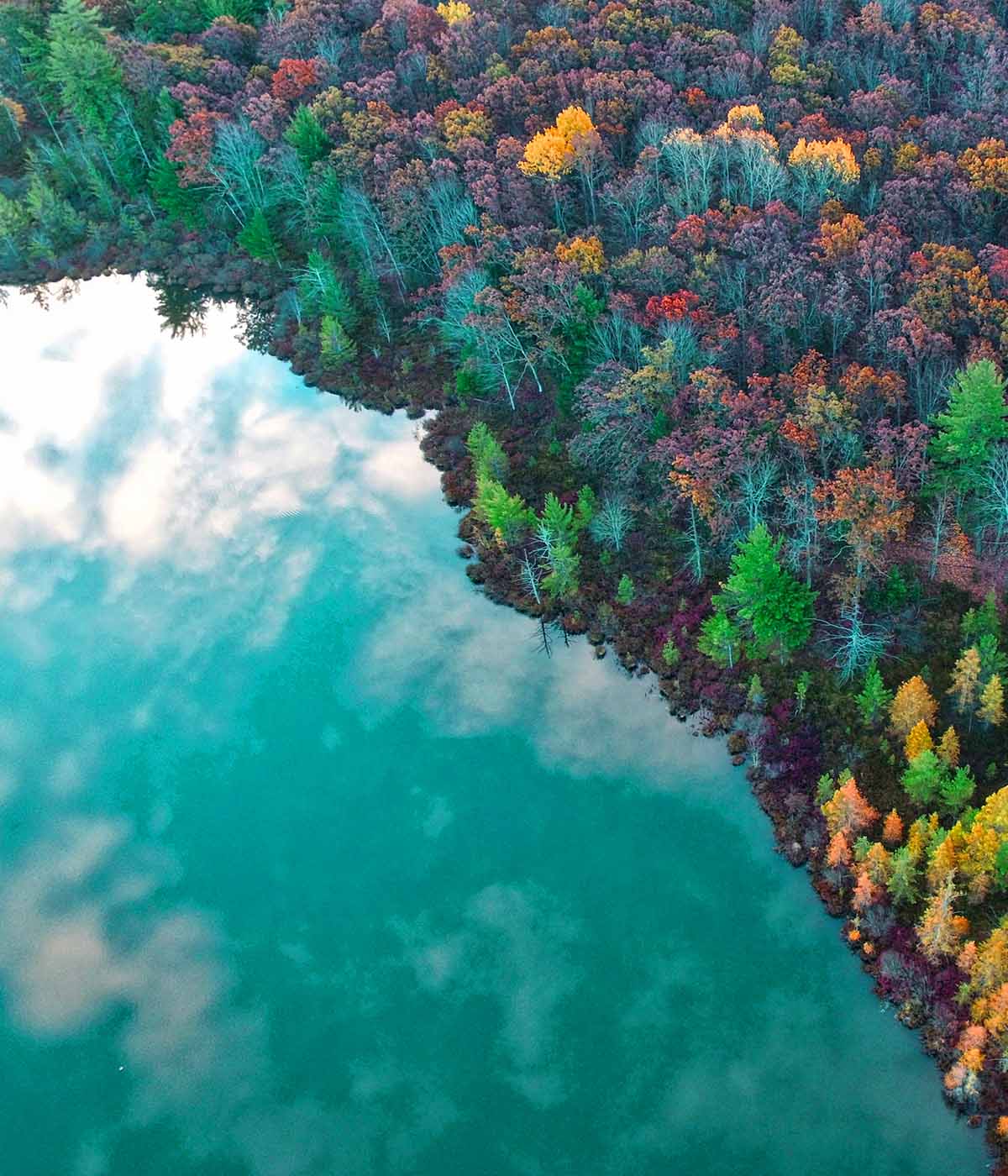 A photo of trees and water with the reflection of a cloud-covered sky in the water