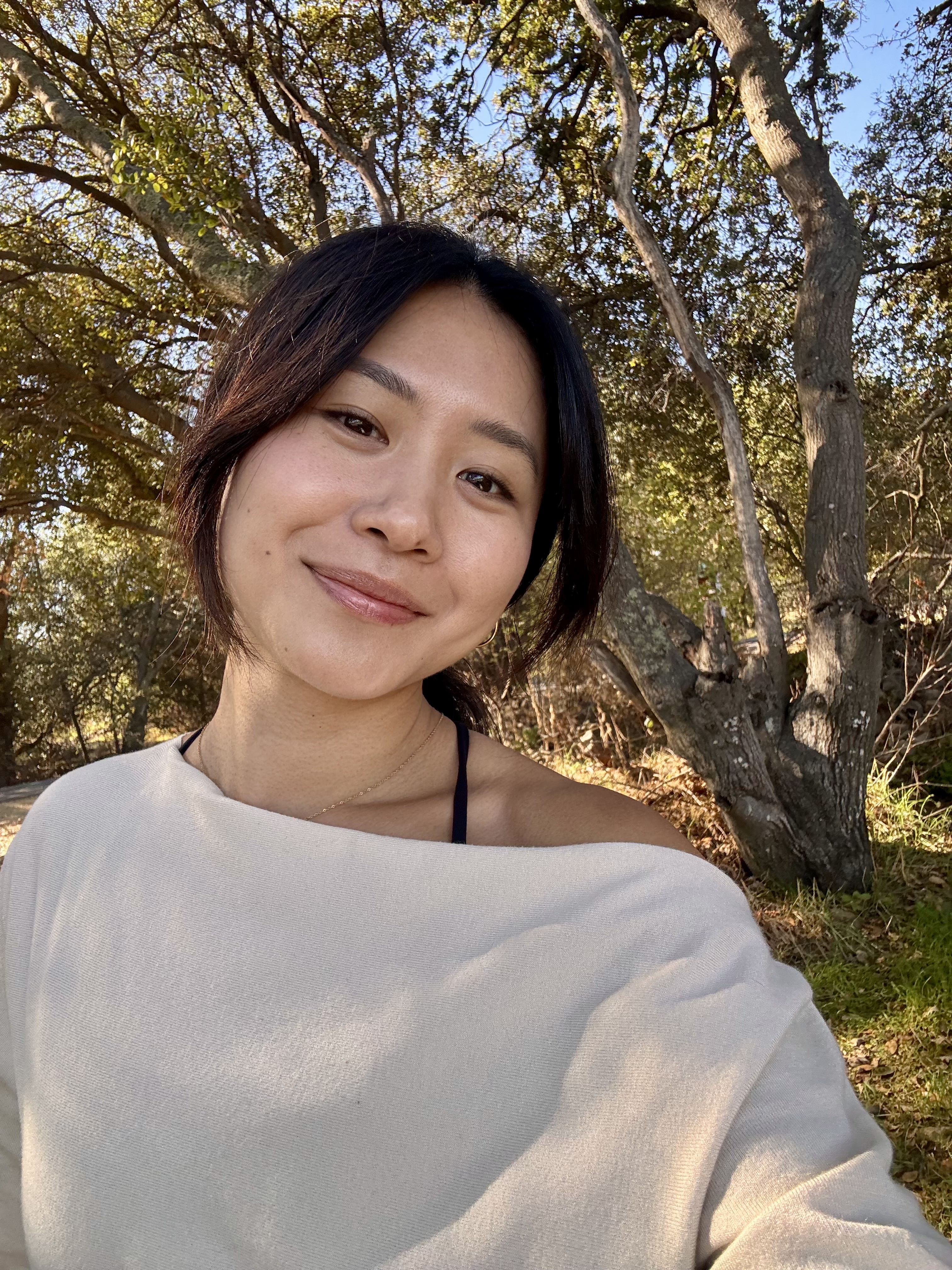 The image featured at the top of the about us page #1