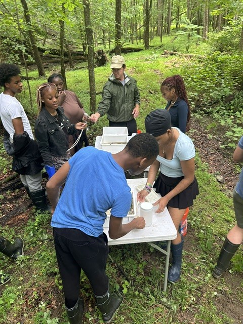 Young people working around a field table in the woods with an instructor