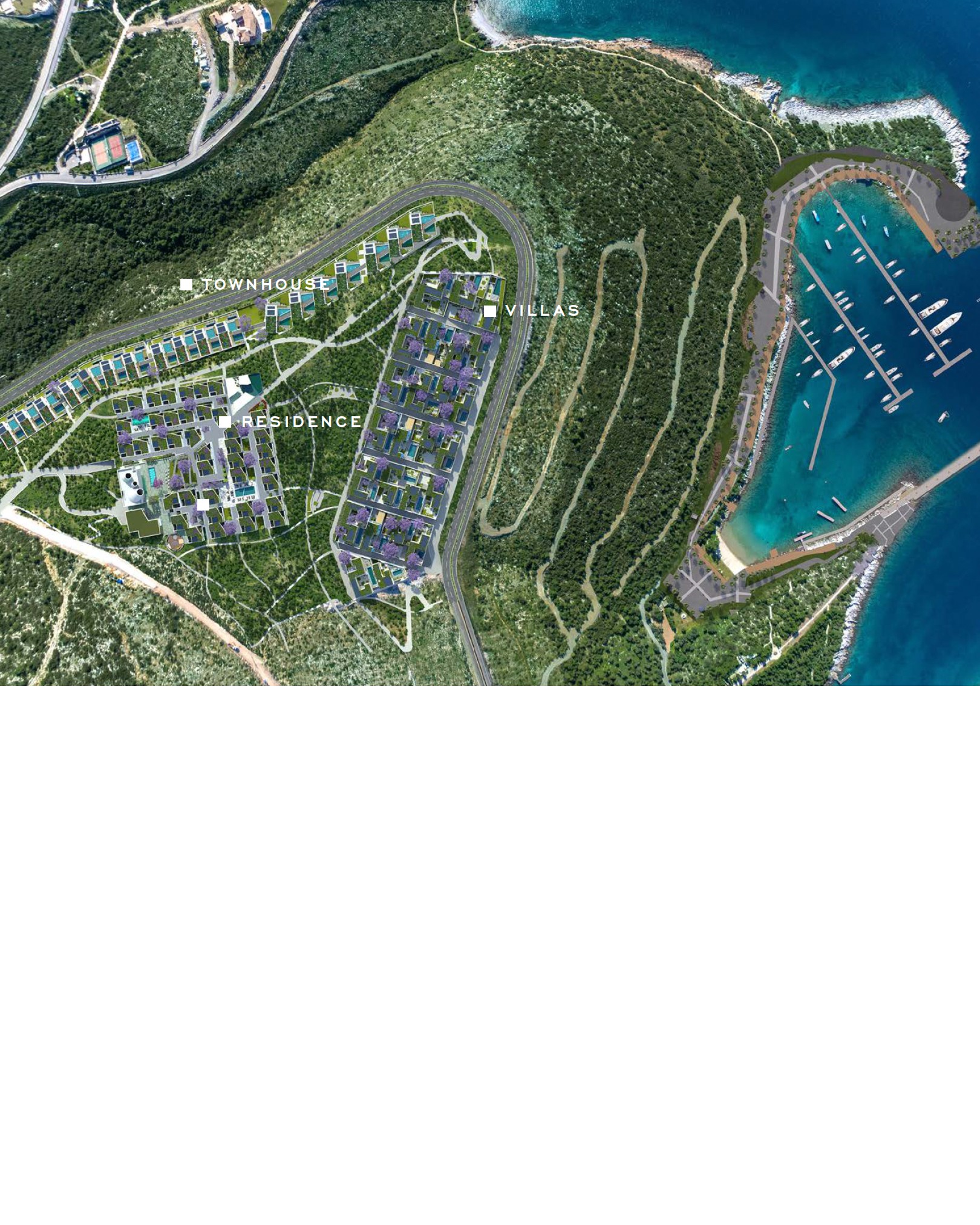 Here comes the alt text