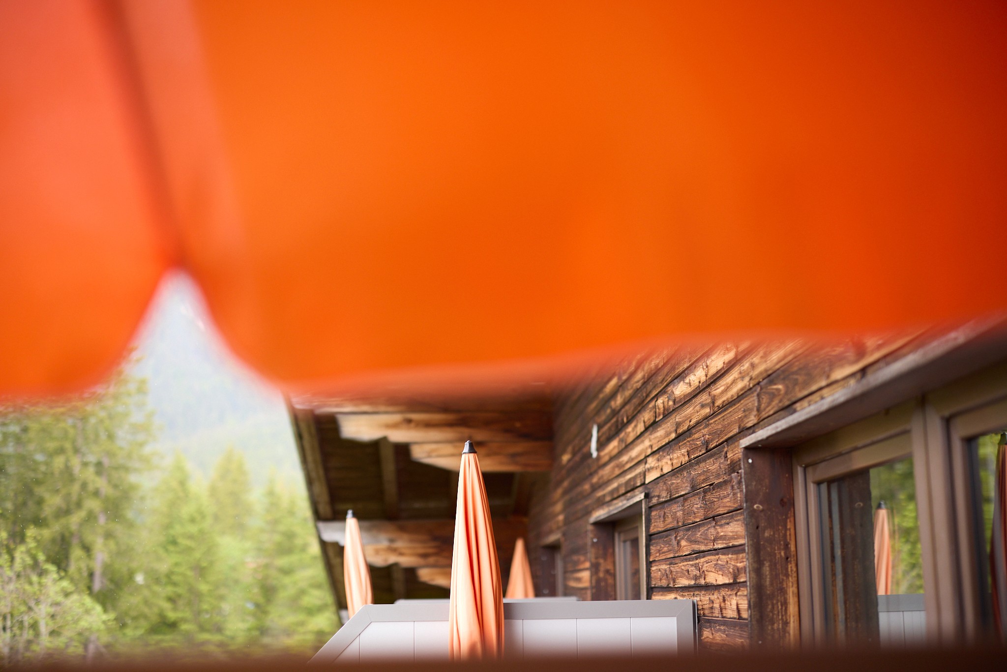 beautiful trekking path in mountains