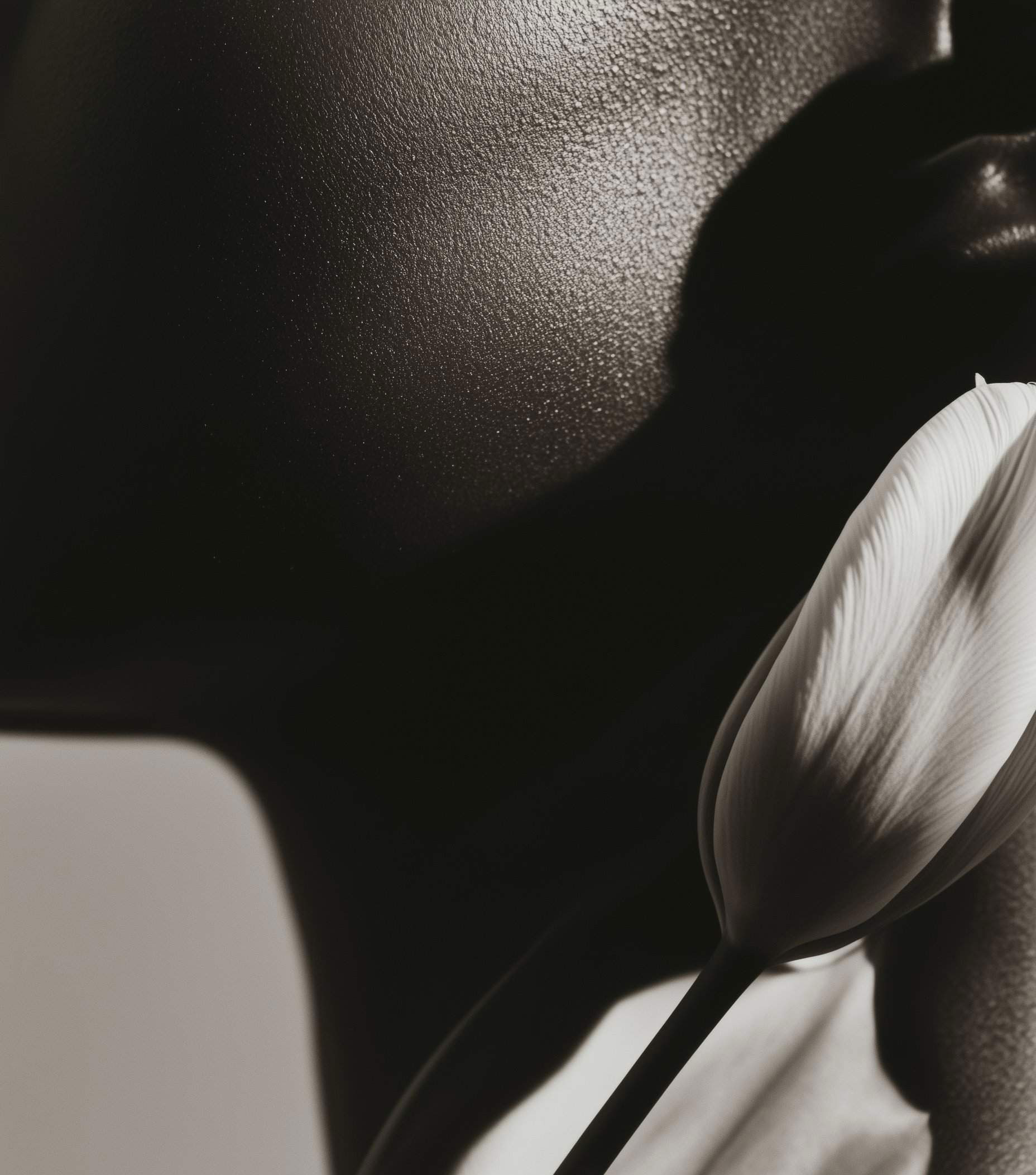 Monochrome close-up of neck with soft white tulip