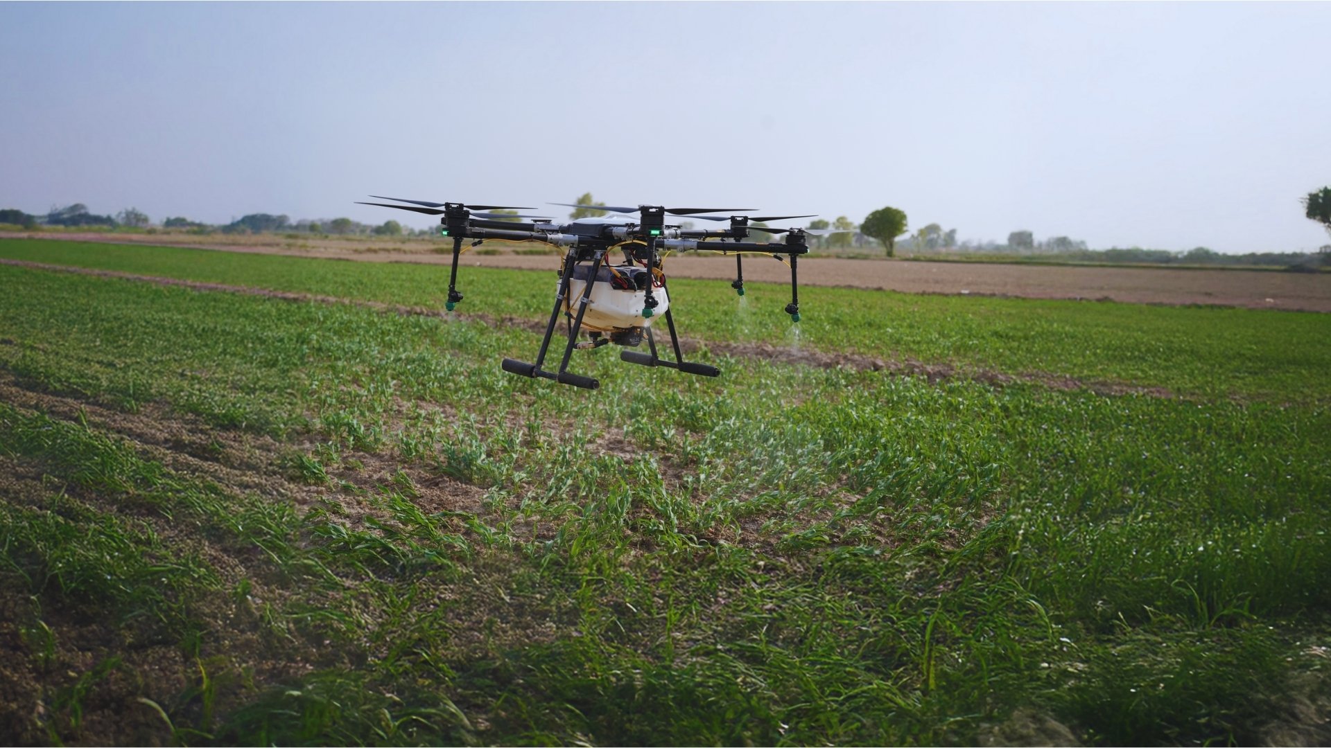 How Drones Fit into Pest and Disease Management?