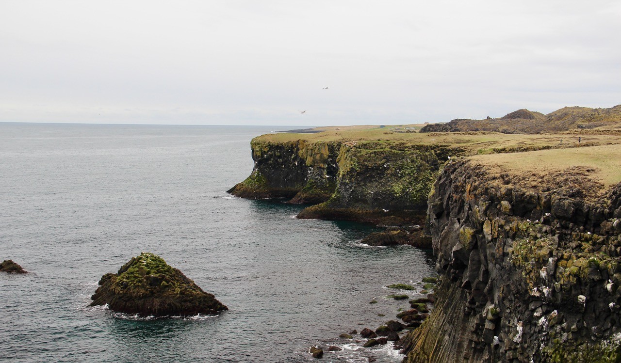 The Arnarstapi Cliffs, jutting straight upward against the ocean.
