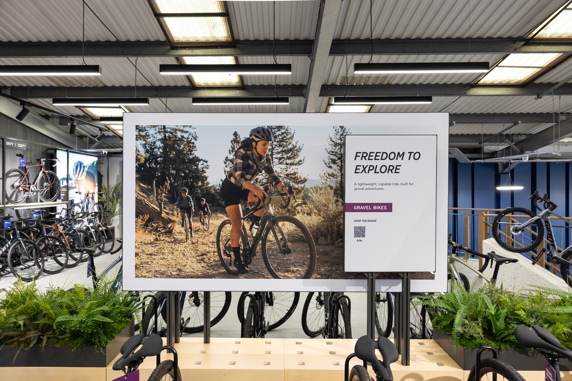 Giant Bikes Brand Store