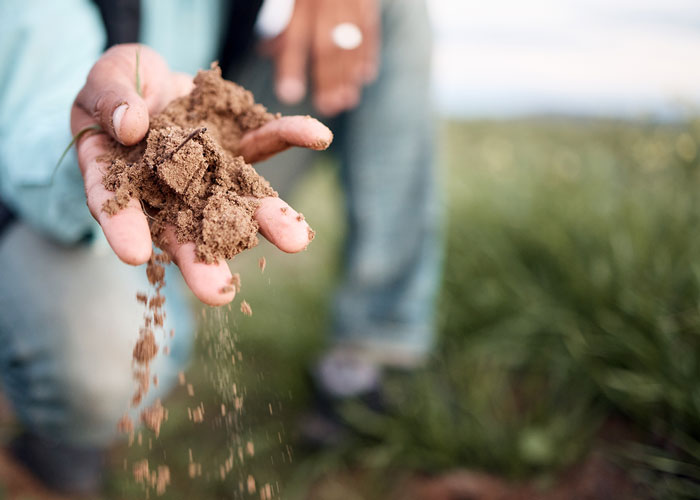 holding soil in hand
