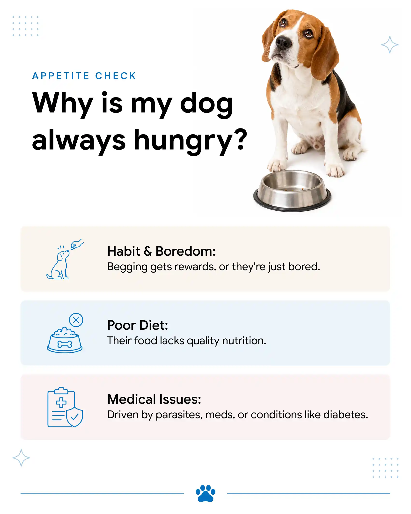 An infographic displaying the reasons why your dog is always hungry.