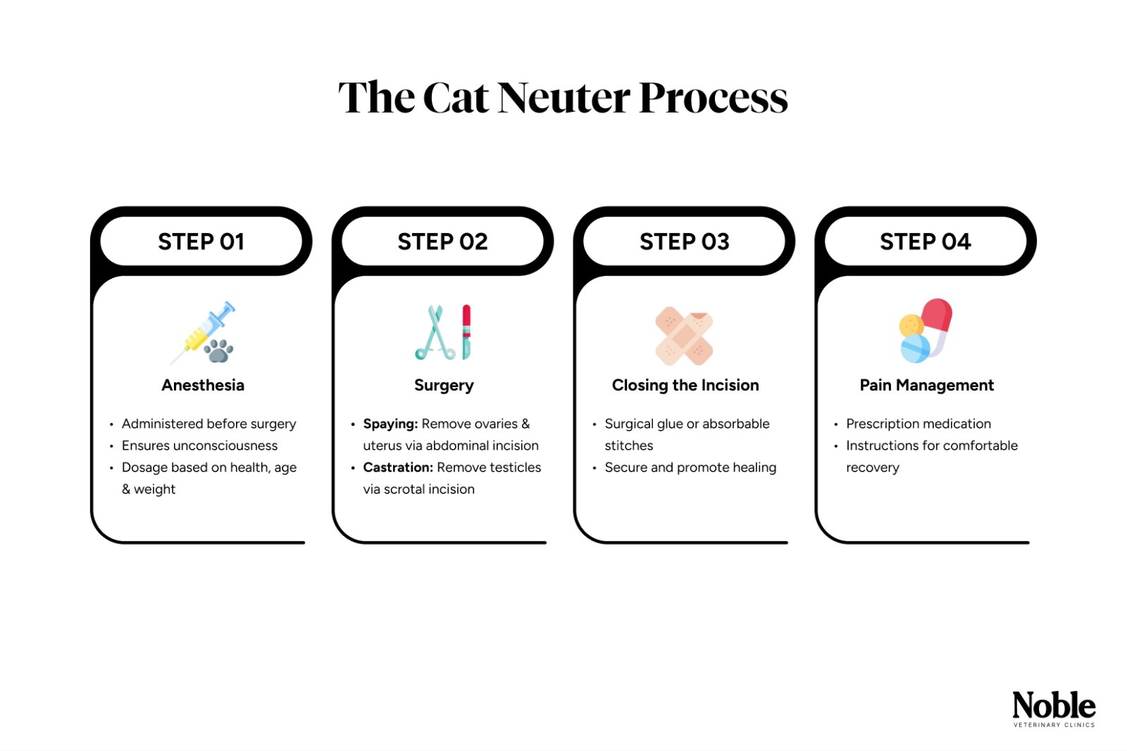 The Neutering Procedure